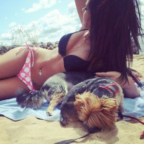 foto amatoriale Beach with dog