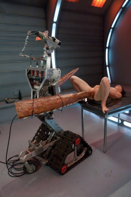 amateur photo 52970226_030_e5f0