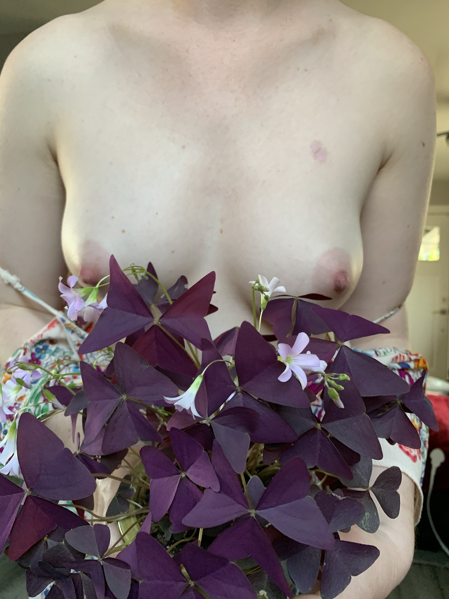 1536px x 2048px - Purple leaves and pink flowers, please play with my boobs for hours Porn  Pic - EPORNER