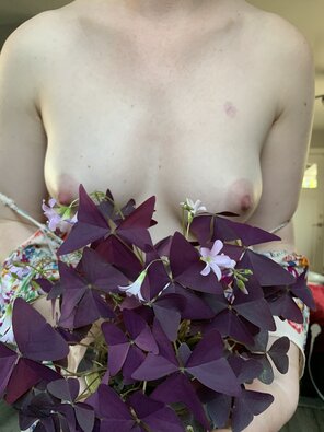 foto amateur Purple leaves and pink flowers, please play with my boobs for hours