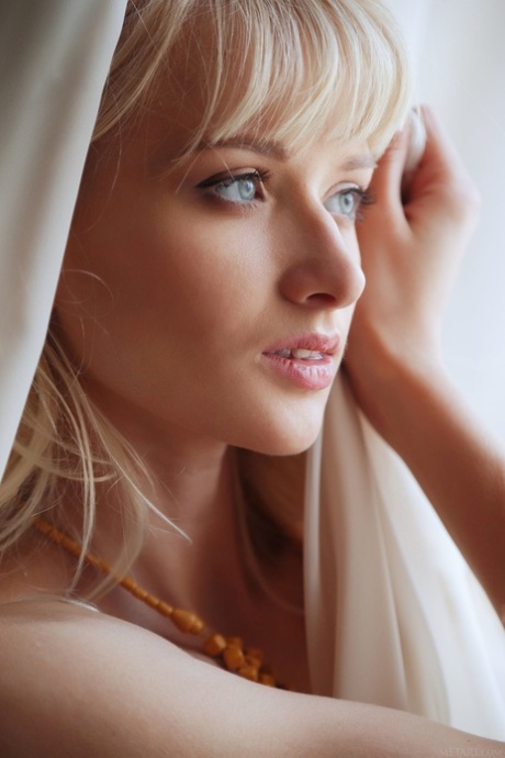 amateur photo 83415881_091_71ef