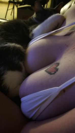foto amadora My kitty and titties ;)