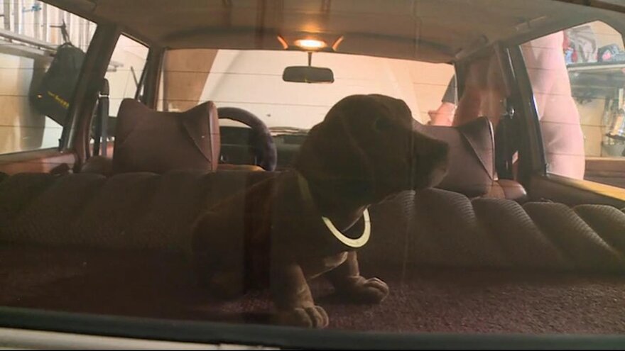 Die Frau vom Boss ist eine Hure - NATALIE HOT, MINI HOTCORE 2019_243