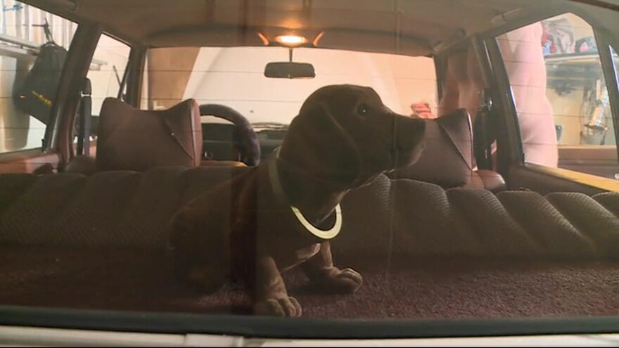 Die Frau vom Boss ist eine Hure - NATALIE HOT, MINI HOTCORE 2019_244