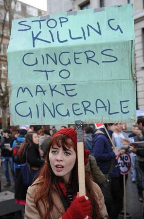 zdjęcie amatorskie Stop Killing Gingers..