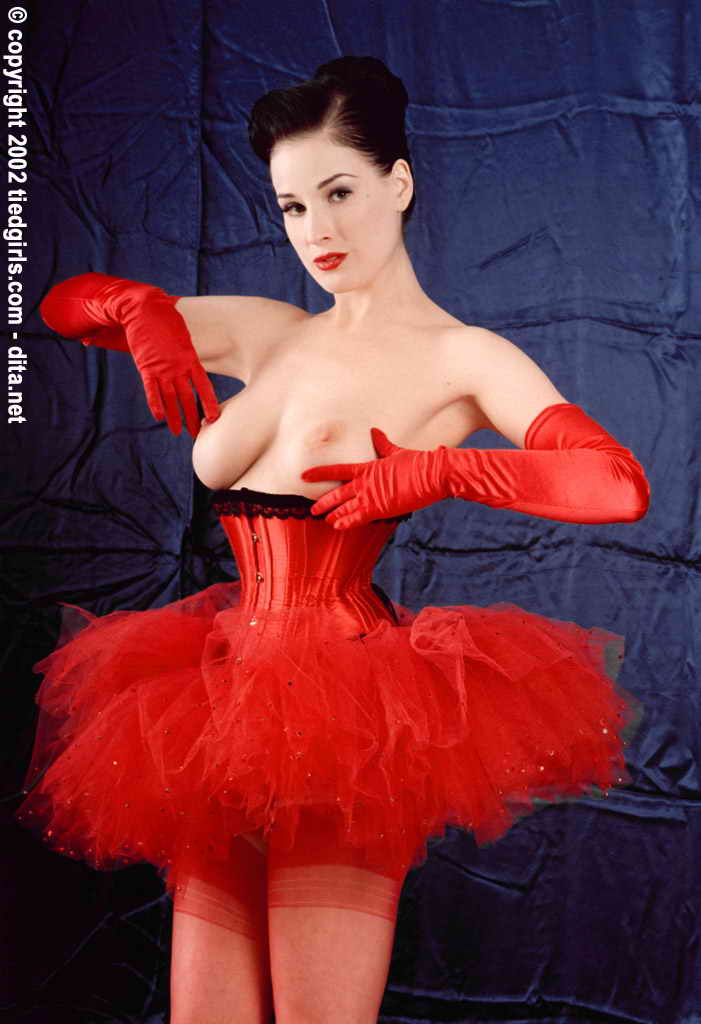 amateur photo Dita Von Teese -8 (10)