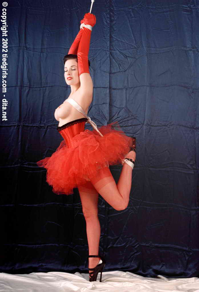 amateur photo Dita Von Teese -8 (17)