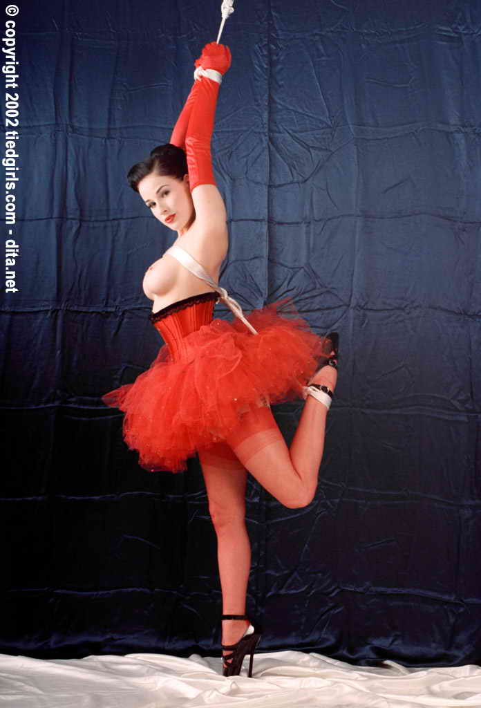 amateur photo Dita Von Teese -8 (19)