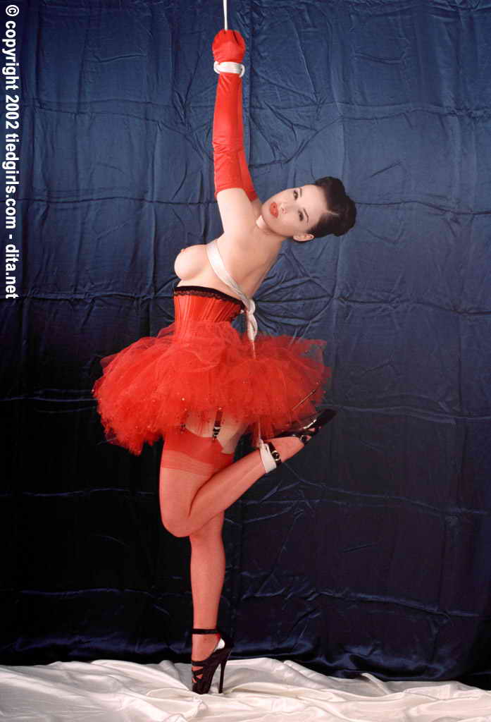 amateur photo Dita Von Teese -8 (24)