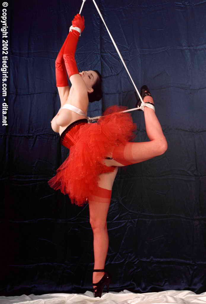 amateur photo Dita Von Teese -8 (34)