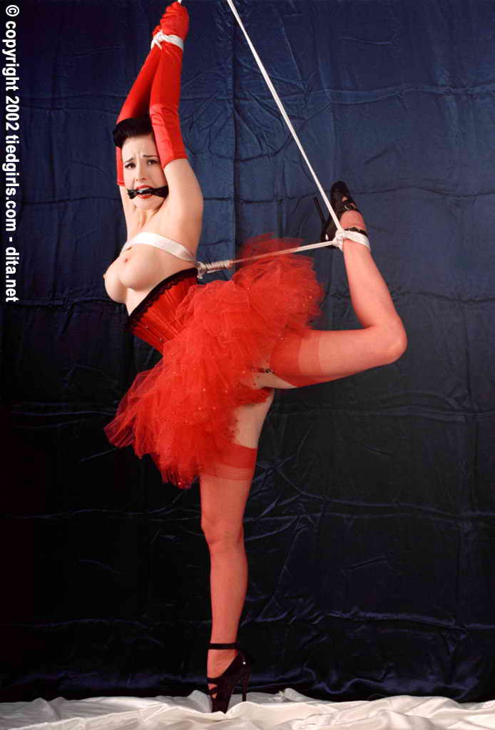 amateur photo Dita Von Teese -8 (37)