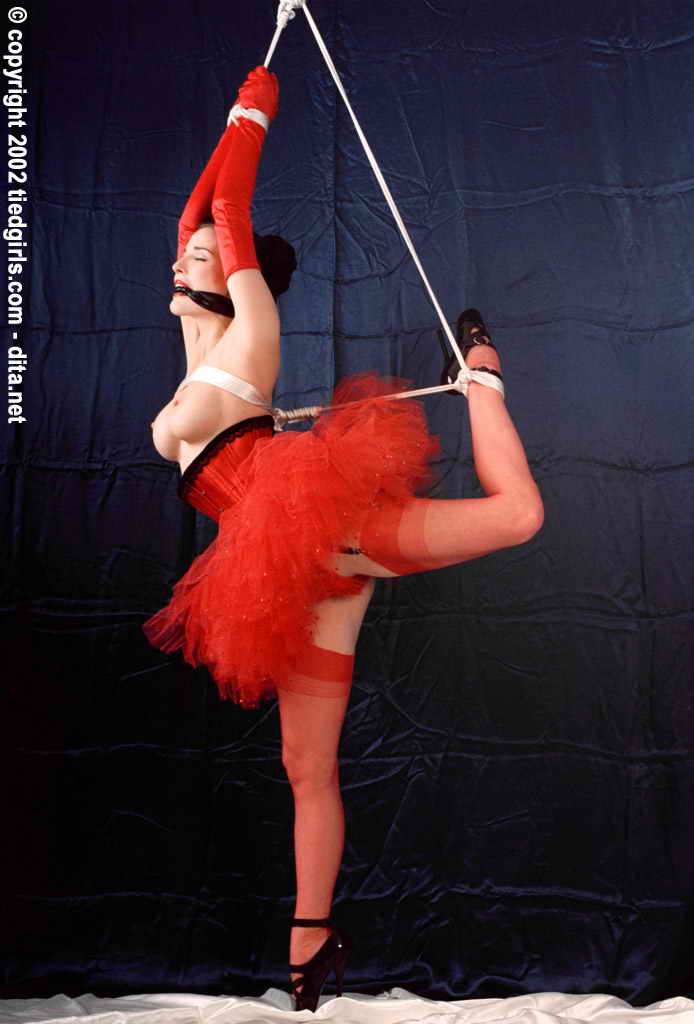 amateur photo Dita Von Teese -8 (38)