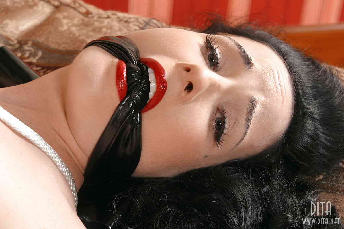 amateur photo Dita Von Teese -9 (73)