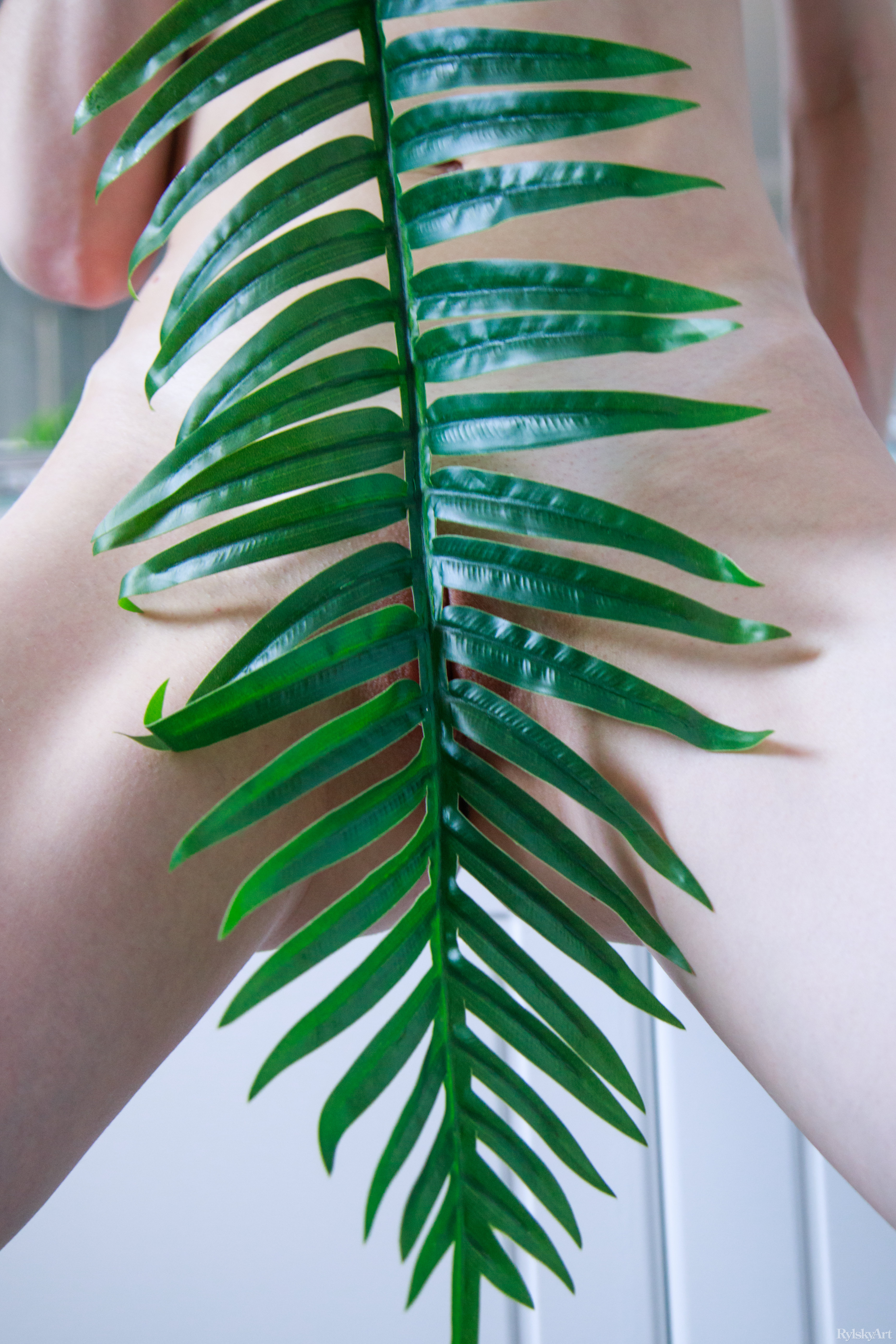 amateur photo RA_Aminosa_Alice-May_high_0042