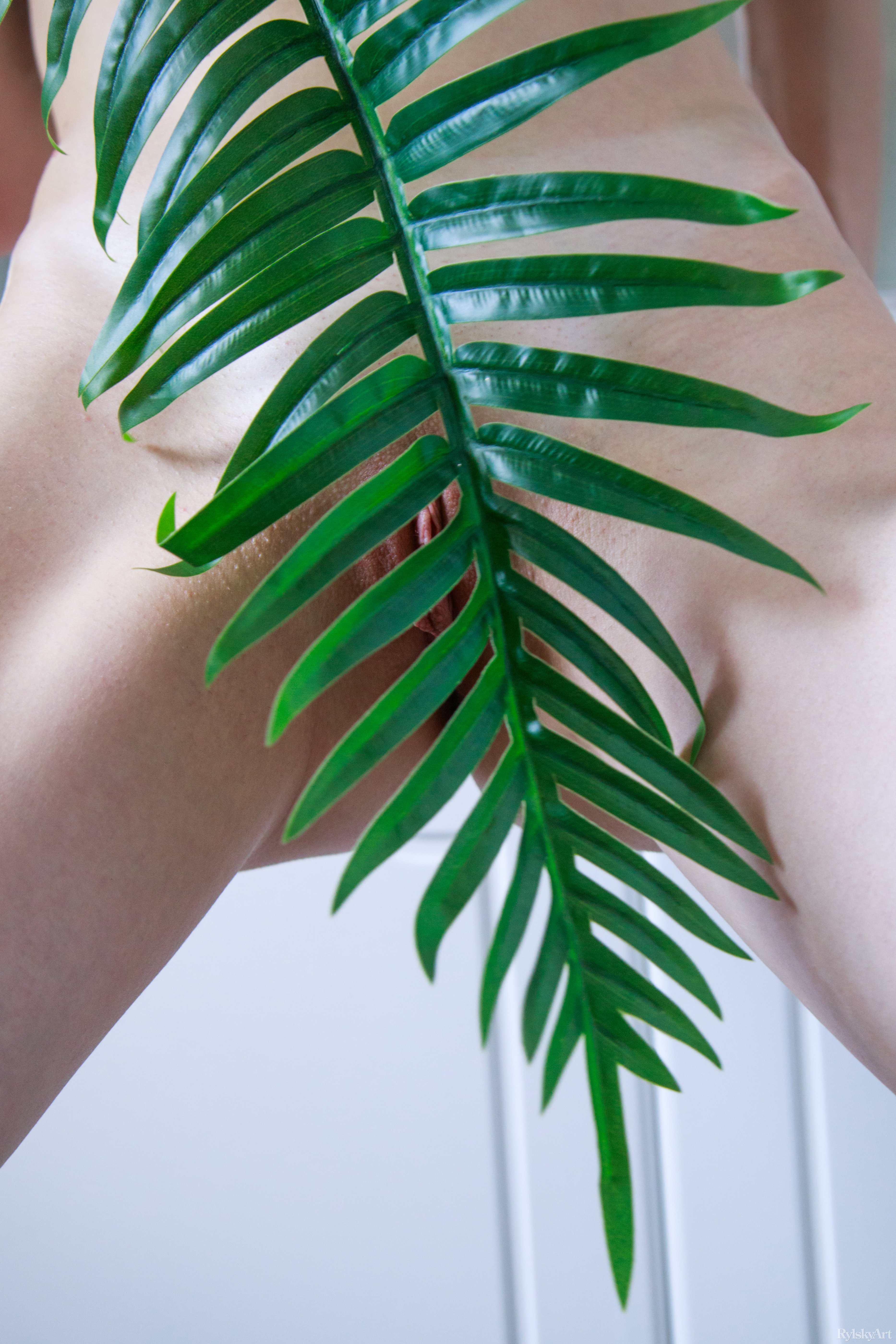 amateur photo RA_Aminosa_Alice-May_high_0043