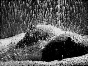 foto amadora Cold shower.