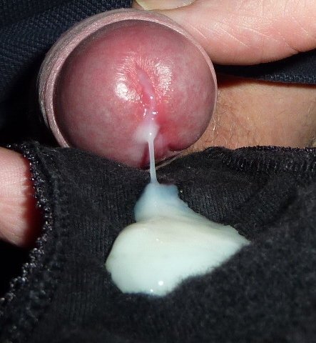 Penis Cum Pic