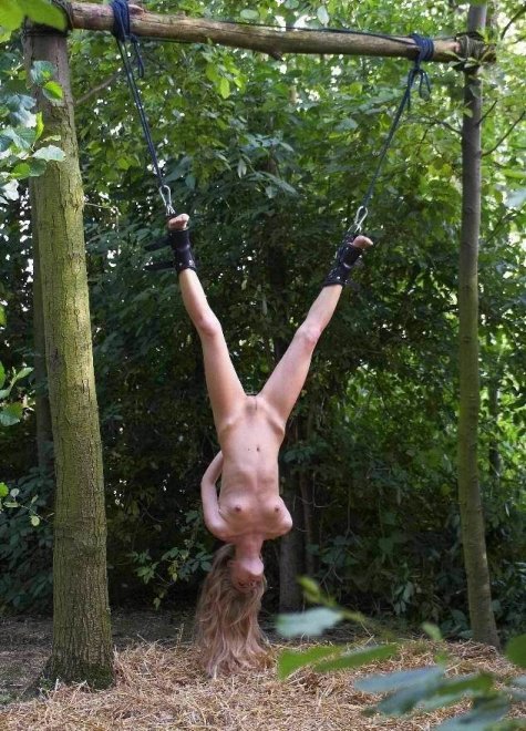 hung from trees