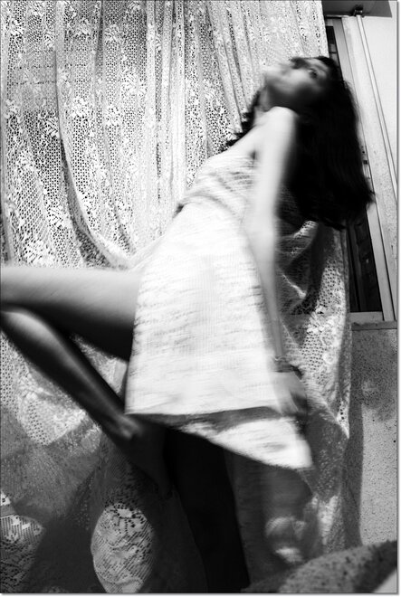 pajaro echando el vuelo