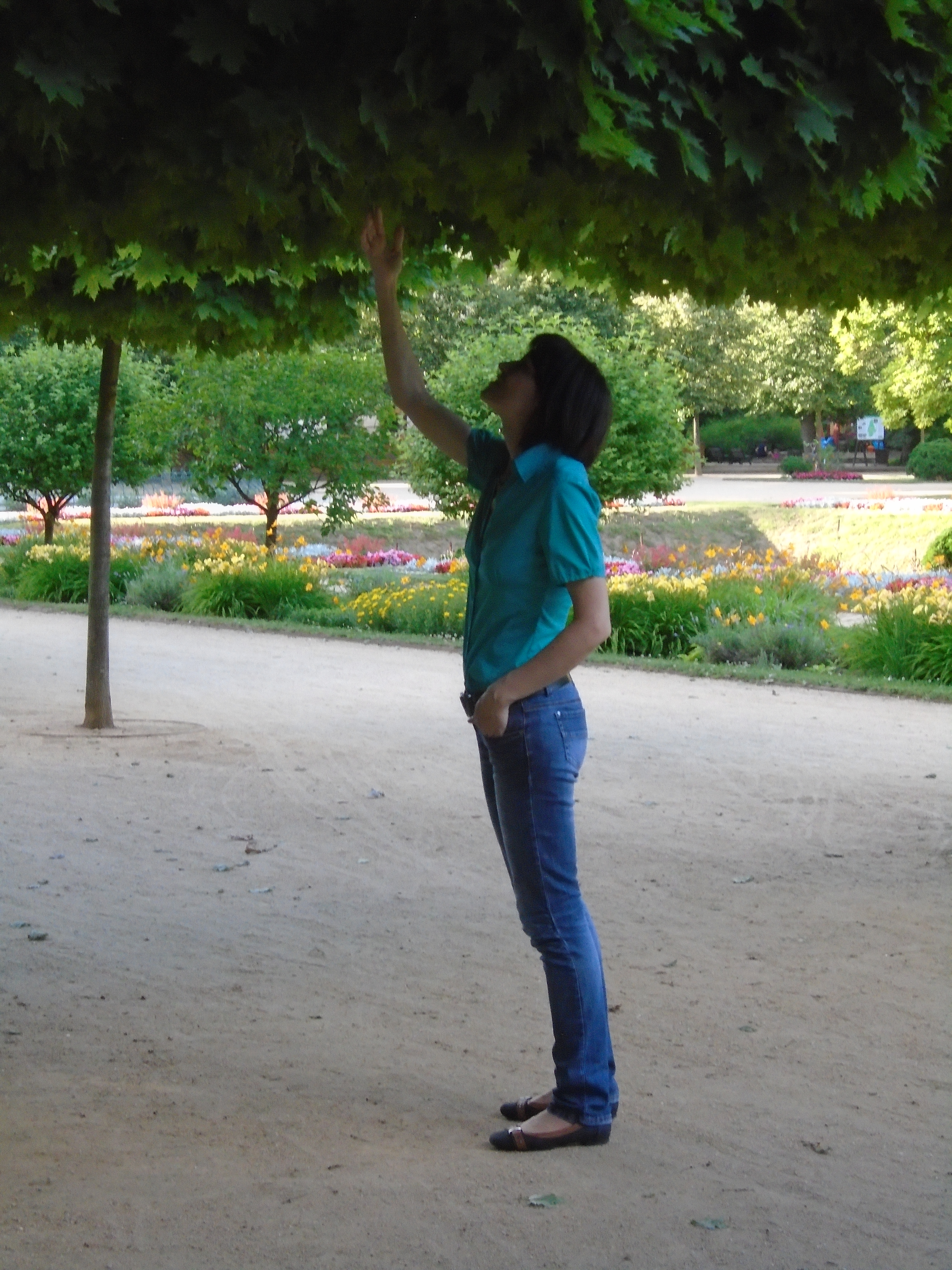 amateur photo 0112795