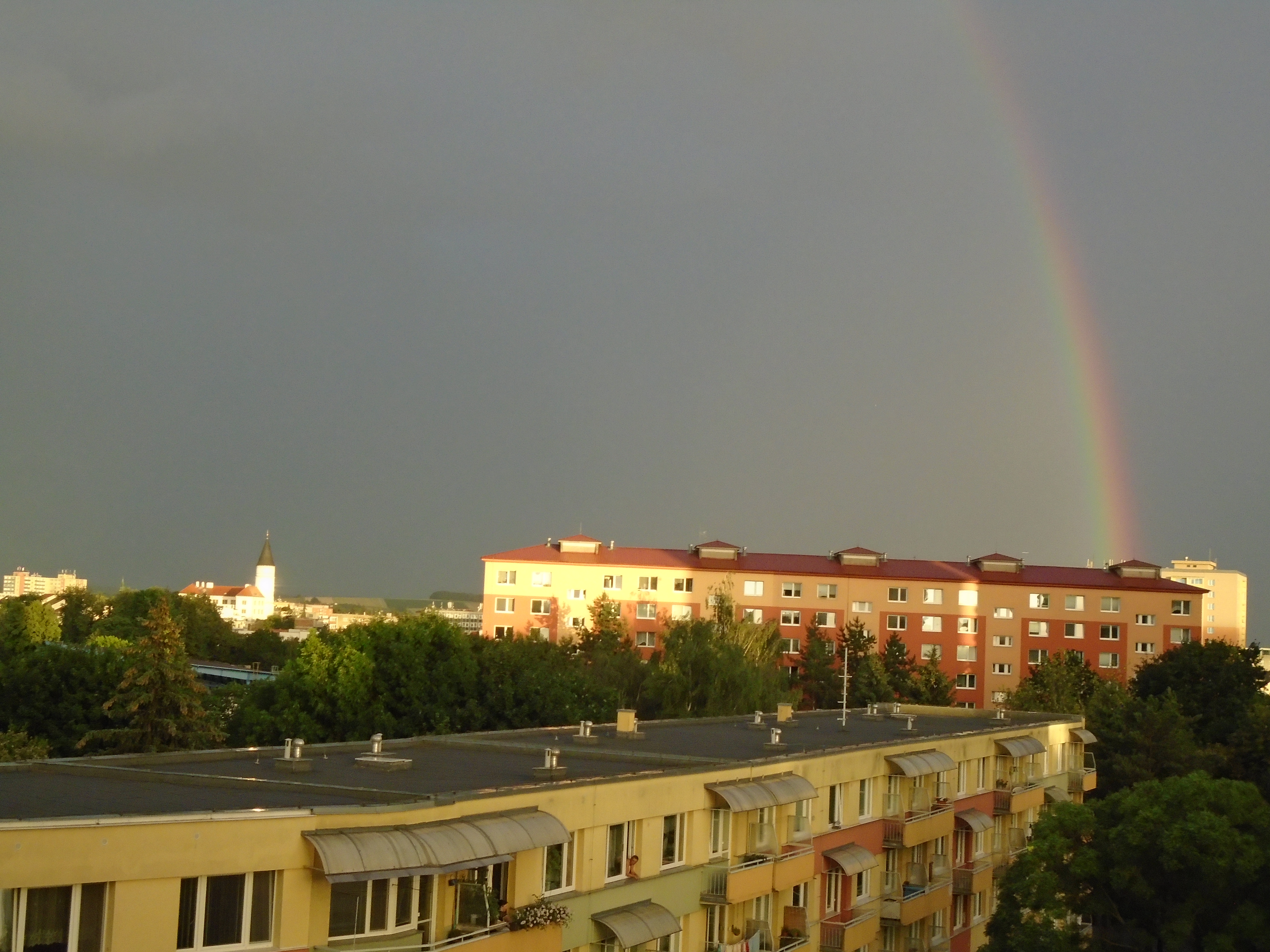 amateur photo 0112823