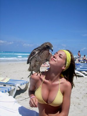 Hawk girl