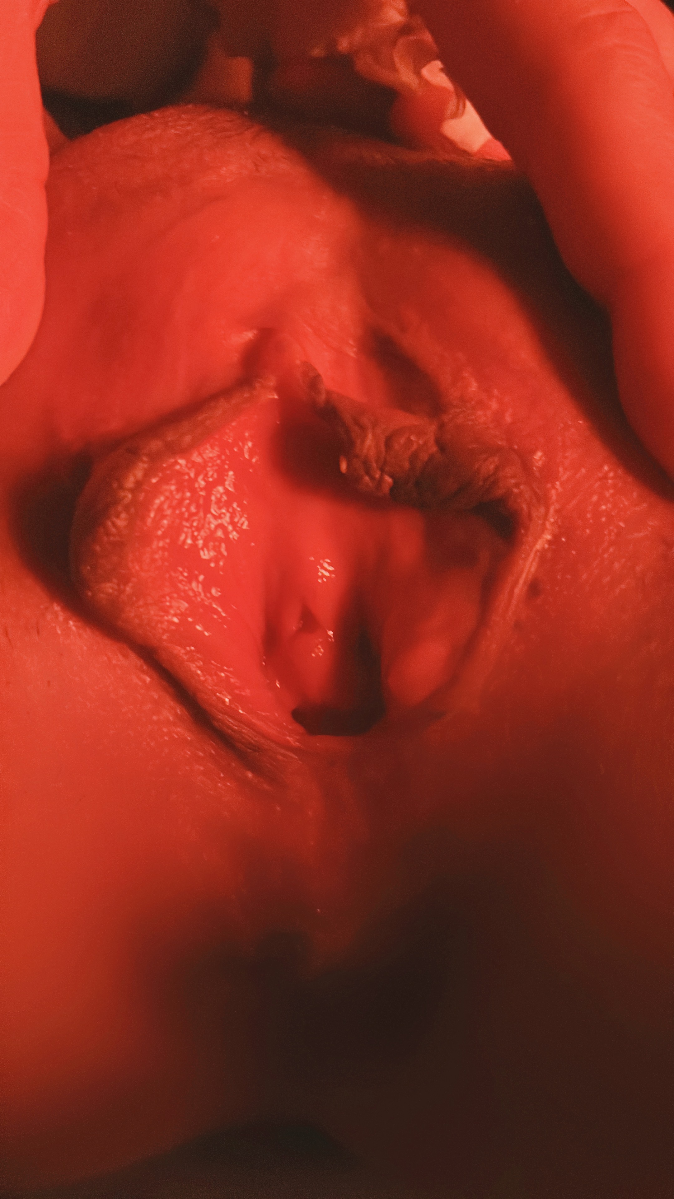 amateur photo 2023_12_23_23_08_IMG_7303