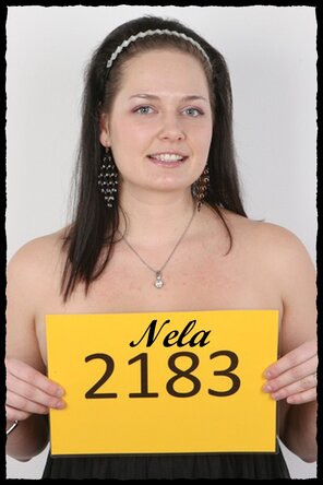2183 Nela (1)