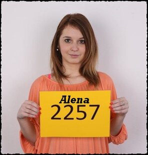 2257 Alena (1)
