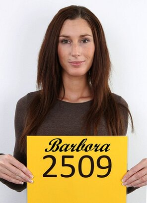 2509 Barbora (1)