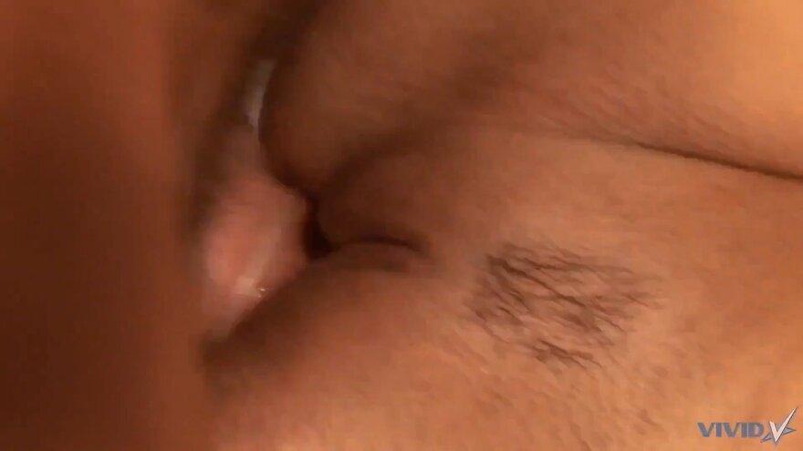 3e41fb69-4da6-4101-a5d3-b9dc9c6e8b12