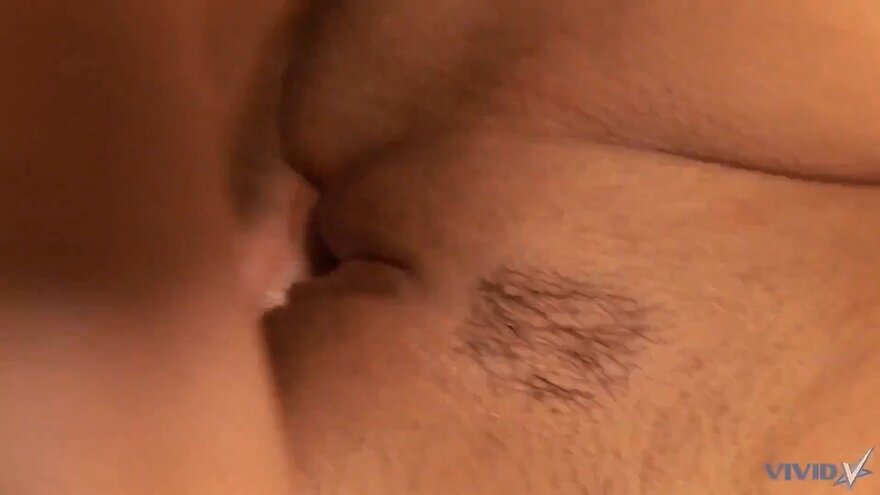 1a1c727a-486b-49d1-9676-51798f5f3368