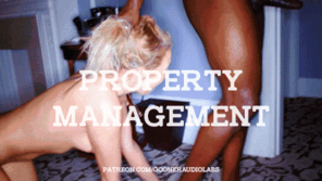 zdjęcie amatorskie PropertyManagement