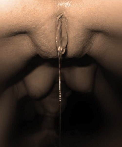 Dripping Wet Pussy Giff - 1 of 26 pics of dripping wet pussies - link in comments for ...