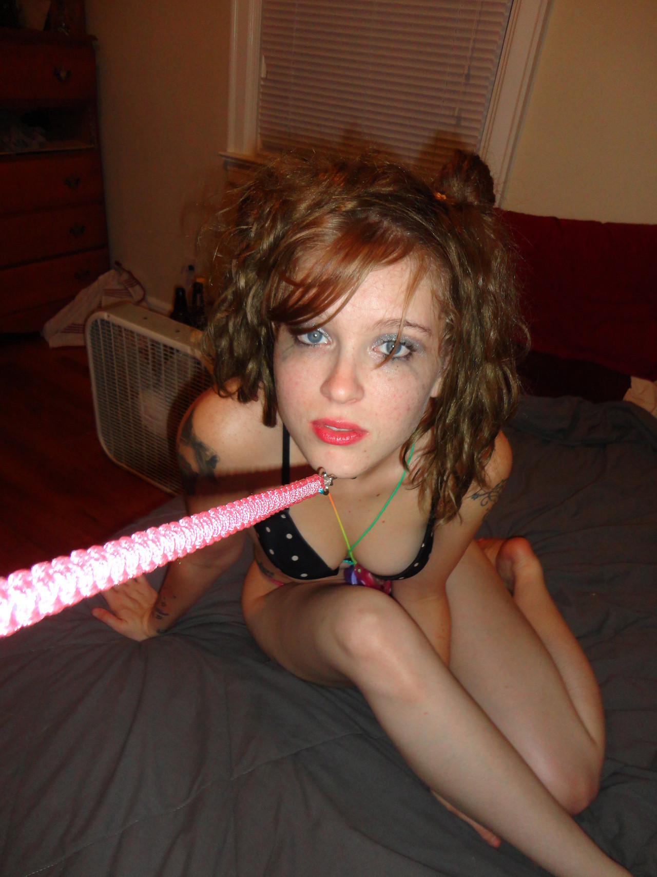 Pet Porno Pet Porno