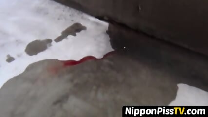 Genuine Japanese Beginners Recorded Peeing All Over Town