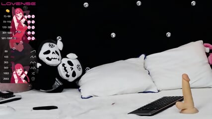 qq288