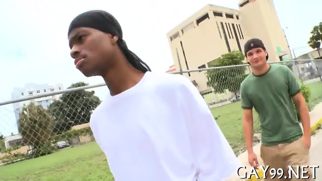 Interracial fun of gays