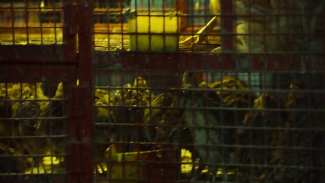 CRIME LIST (2024)[Telugu – 1080p HQ HDRip – x264 – [DDP5.1(640Kbps) + AAC] – 2.4GB