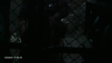 I Sodomize the Prostitute Sarah