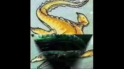 Tribute to Mosauridae