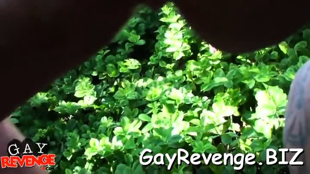Amateur gays enjoy crazy bang