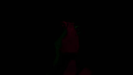 Experience The Electric Desire That Sparks In Paldea With Molly Little As Pokemon's Iono