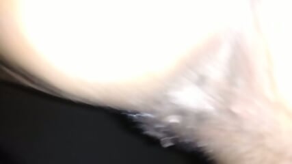 qq288