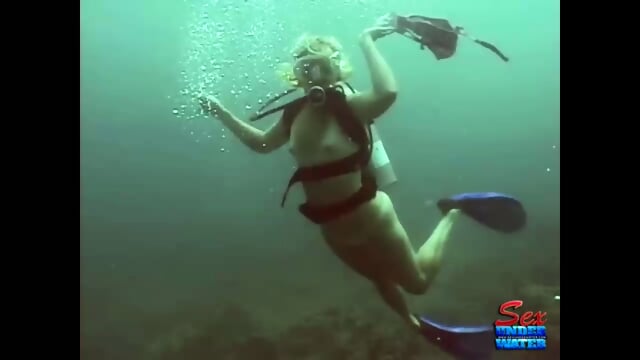 Taylor_on_the_Reef