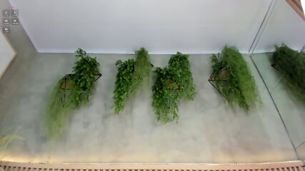 lia_myars_2025-03-30_14-38 boobs ass