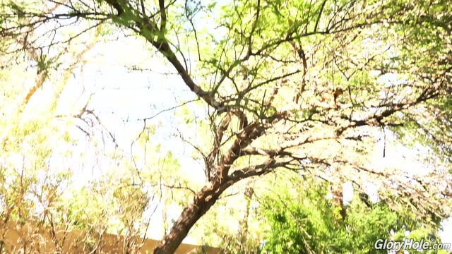 Lauren Phillips   Three Big Black Cock   Gloryhole