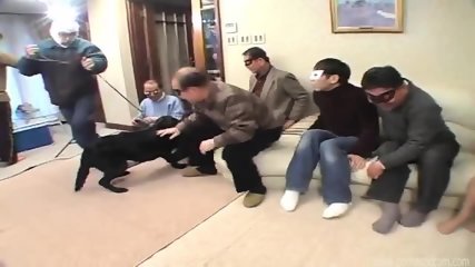 Japanese Girl Has Fun With Dogs