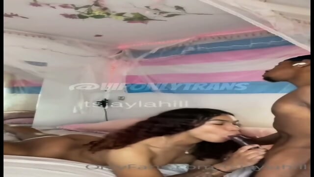 Cute Ebony Teen TS Jayla Hill Loves to Get Fucked