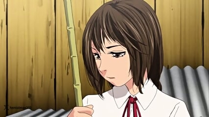 Pork Pork 2  -hentai anime